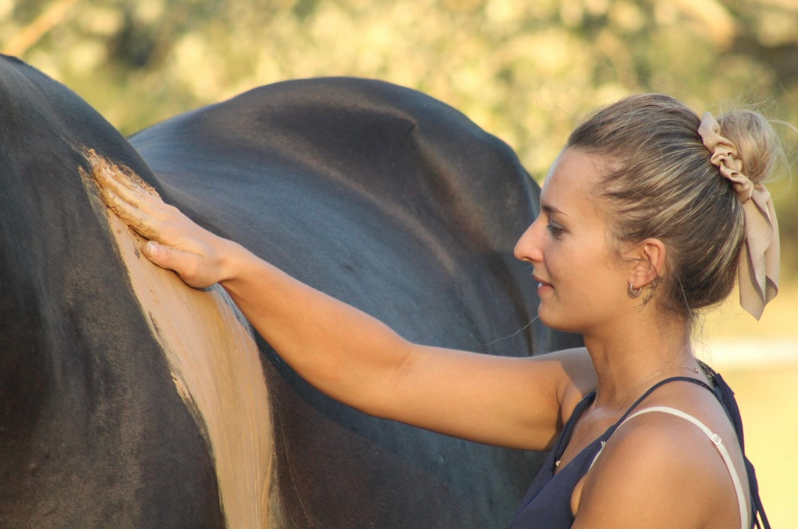 3 bonnes raisons de faire un massage à ton cheval !