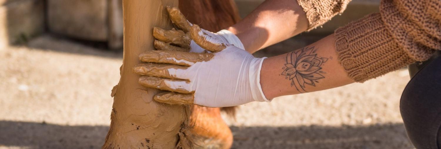 🐴 Comment appliquer un cataplasme ?
