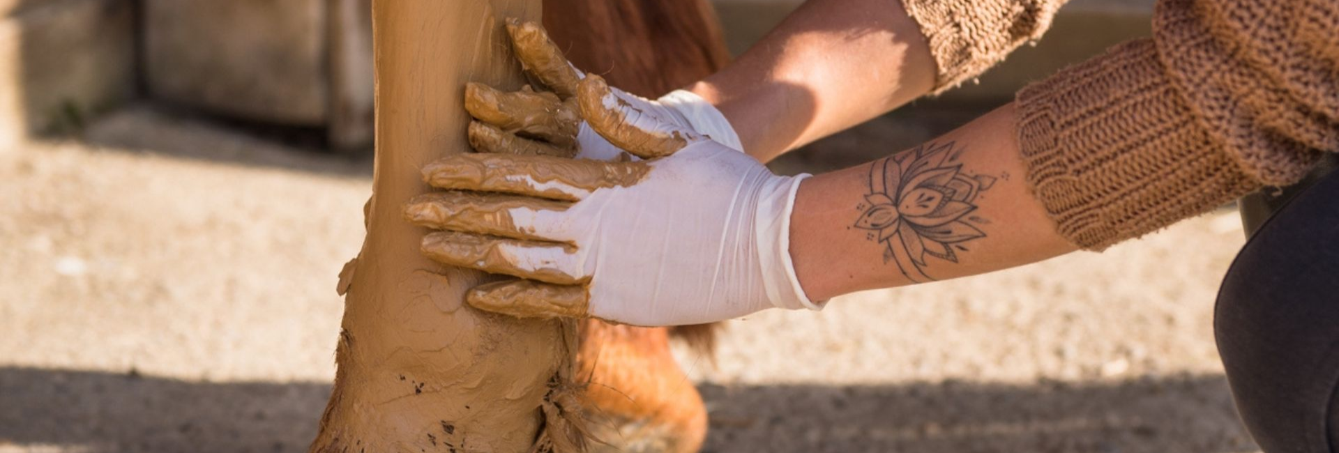 🐴 Comment appliquer un cataplasme ?