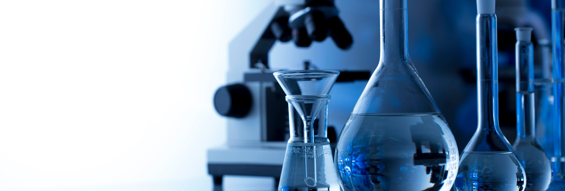 🔬 Zoom sur… Les conservateurs
