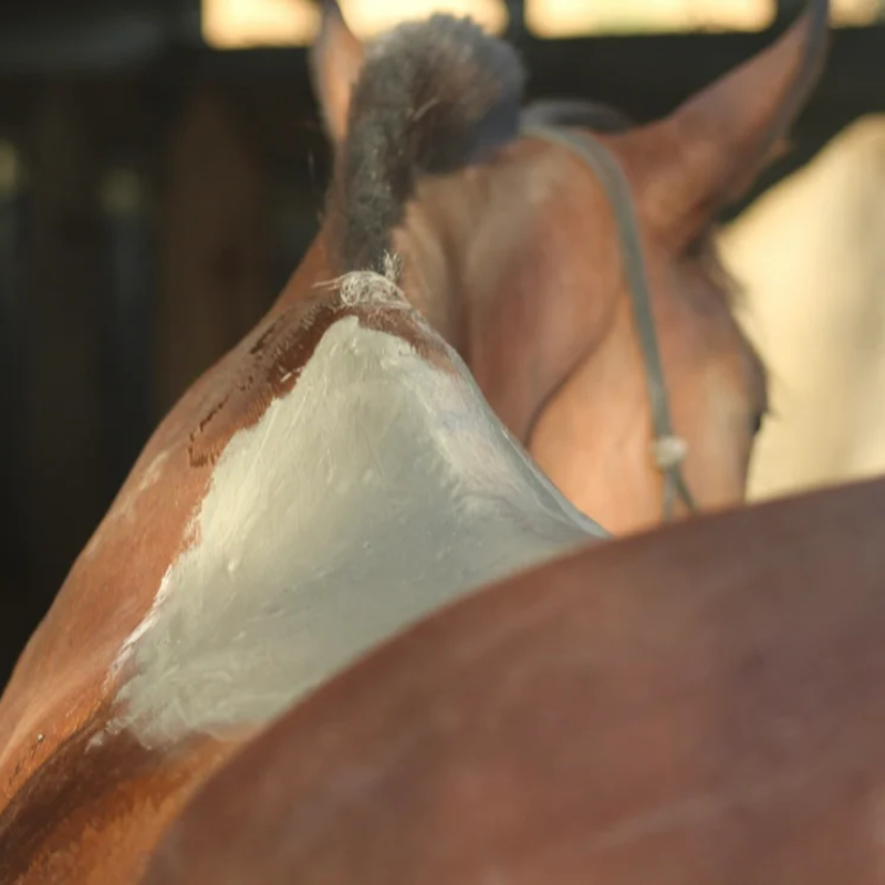 Cataplasmes & Enveloppements