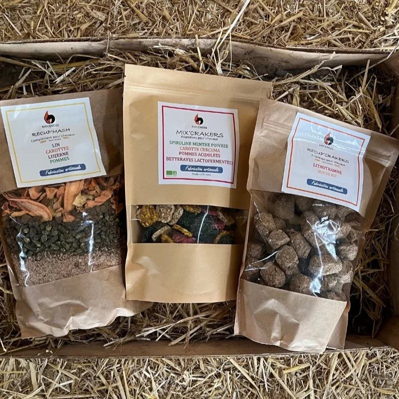 Complément Alimentaire Recup'Mash